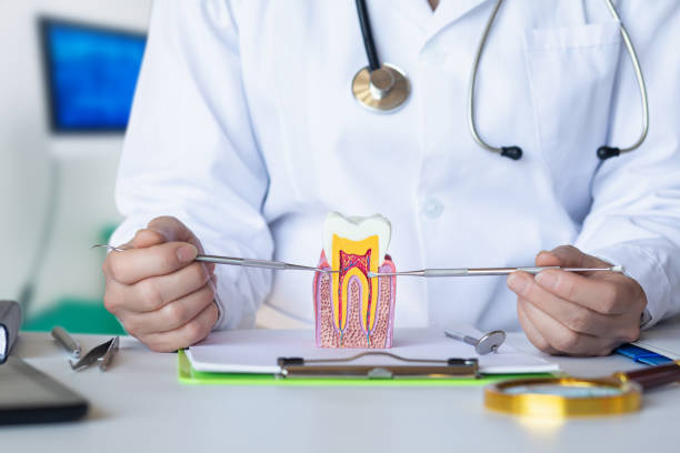 Best Root Canal Emergency Dentist  in Lone Tree, IA